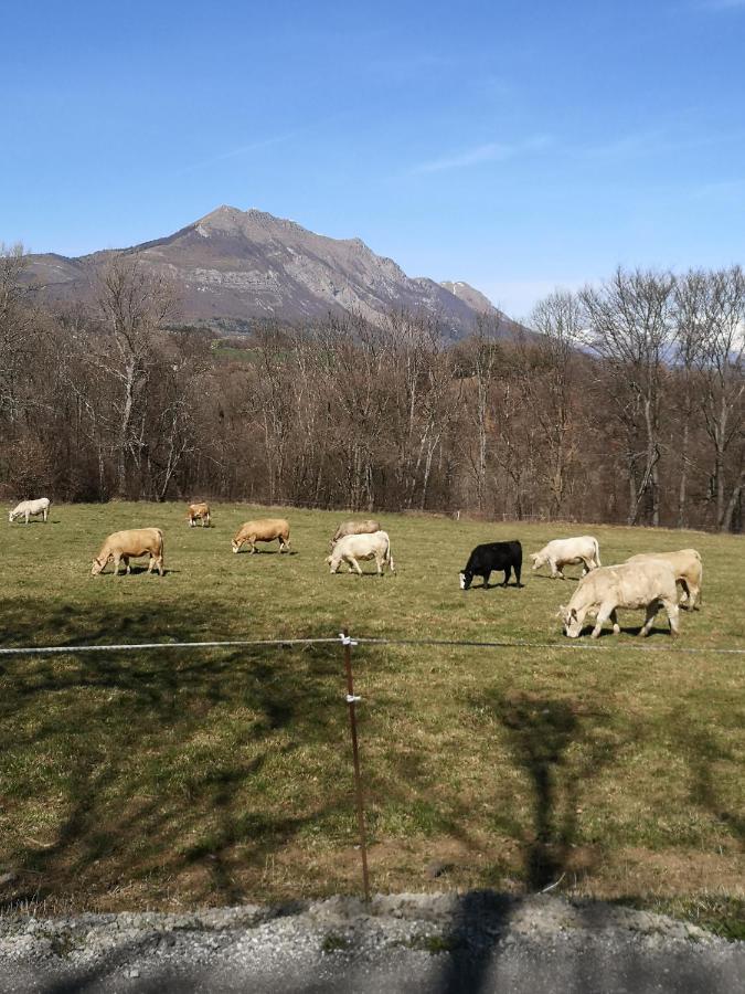 Chalet Bastilor La Joue du Loup Εξωτερικό φωτογραφία